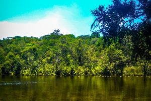 Taman Wisata Alam Sicike-cike