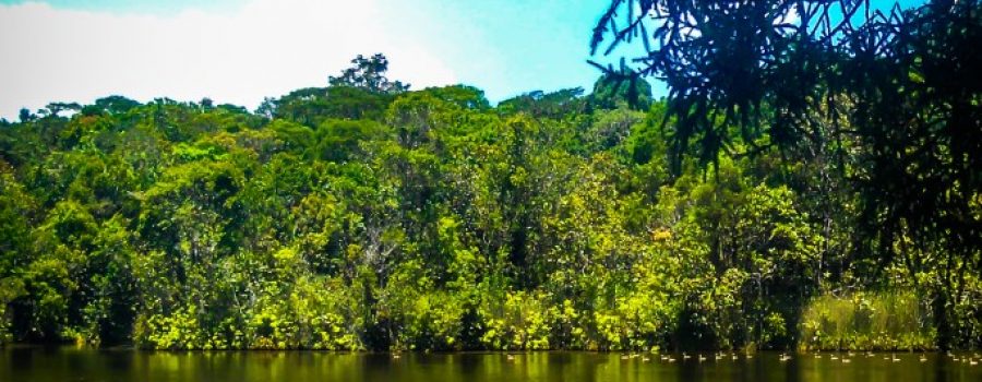 Taman Wisata Alam Sicike-cike